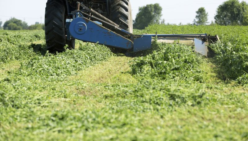 Field Brush Hogging