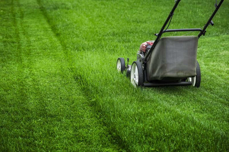 Close-up of Mowed Grass
