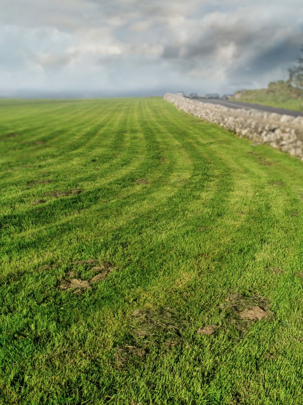 Pasture Mowing in Duluth, MN