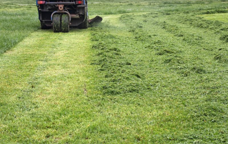 Tractor Mowing