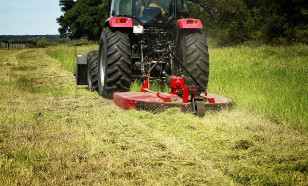 Bush Hogging Service - Bush Hogging Service Gainesville, Florida
